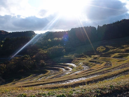 kawai 大山千枚田　 054.jpg