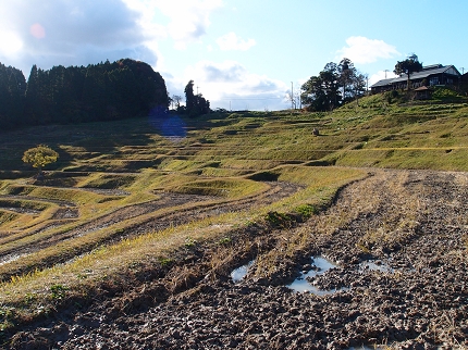 kawai 大山千枚田　 052.jpg