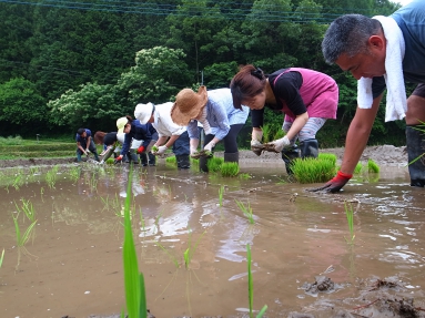 クロヌリ＆田植え 056.jpg