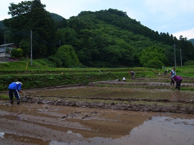 クロヌリ＆田植え 016.jpg