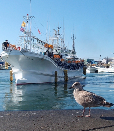 2012.10.07 北海道大Ｋ 012.jpg